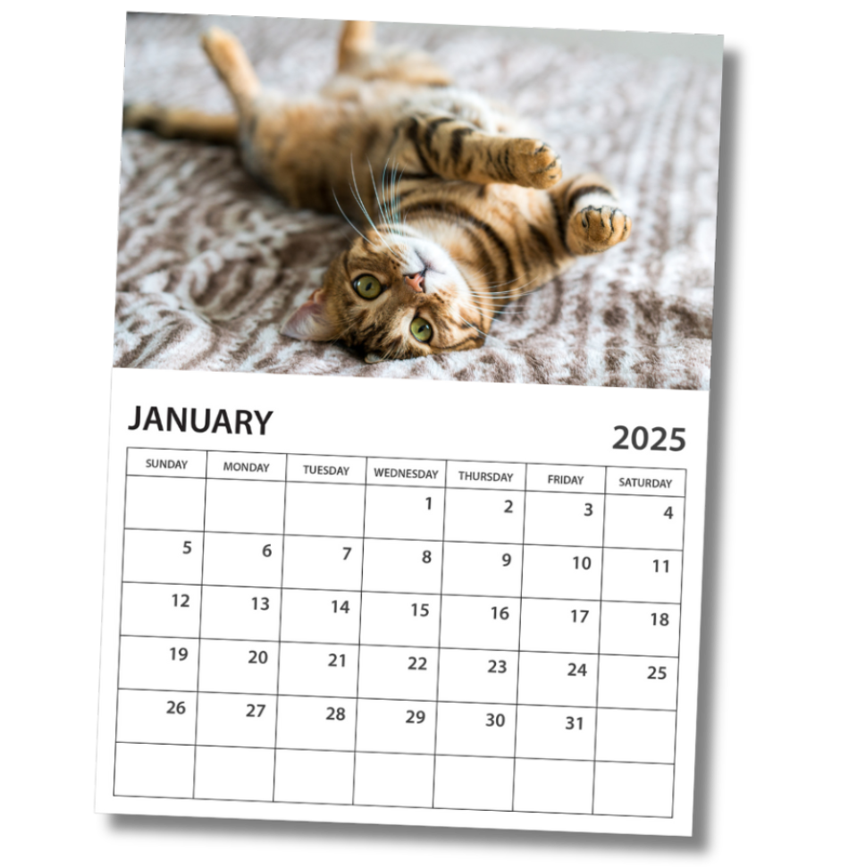 Ex Dividend Calendar 2025 Bunnie Germain